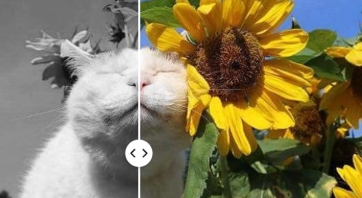 Change color of image